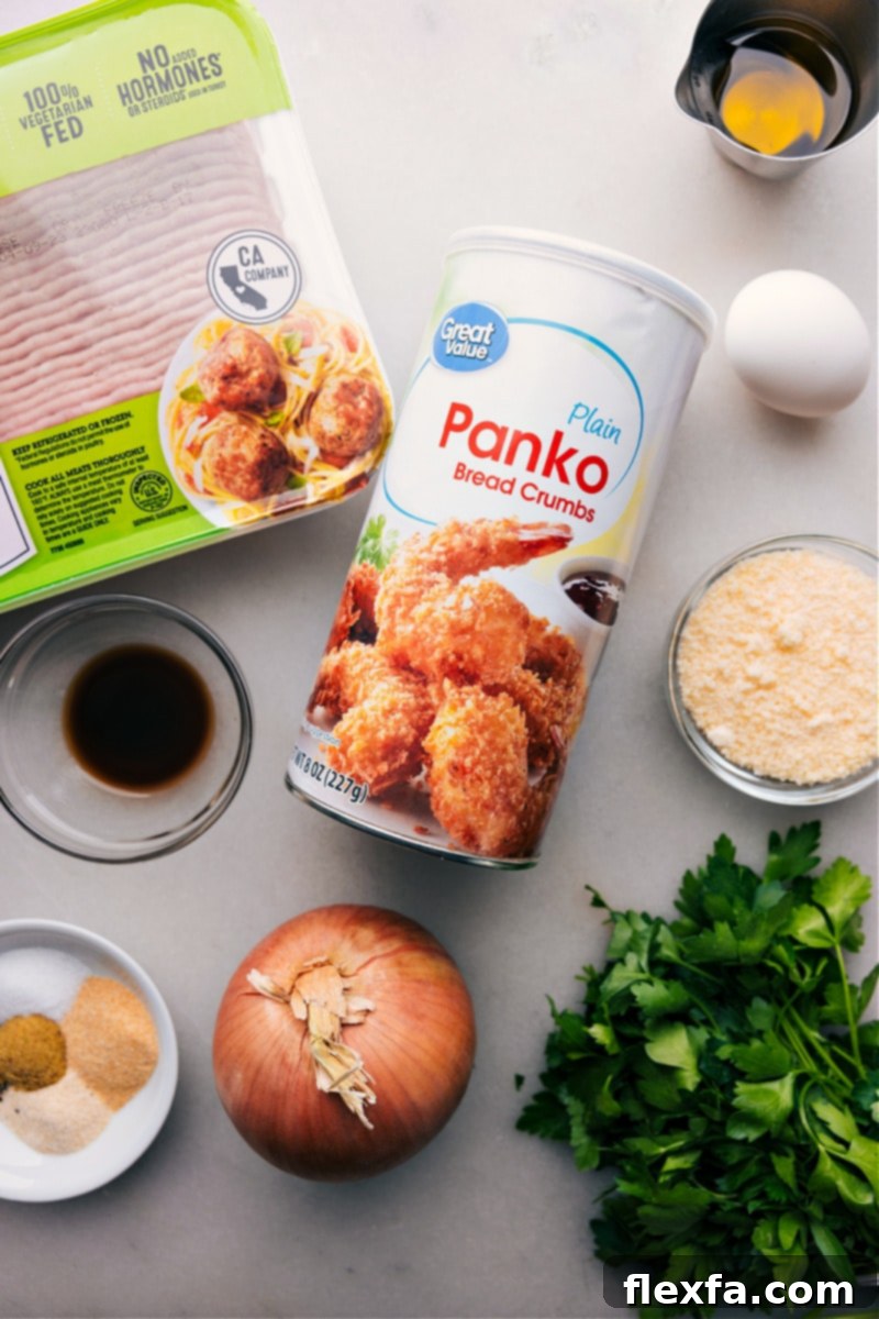 All ingredients for the recipe laid out, including panko, onions, seasonings, meat, and more.
