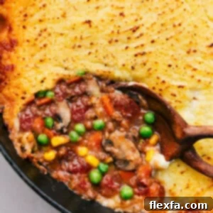 Vegetarian Shepherd's Pie with a perfectly golden mashed potato topping and rich vegetable filling.