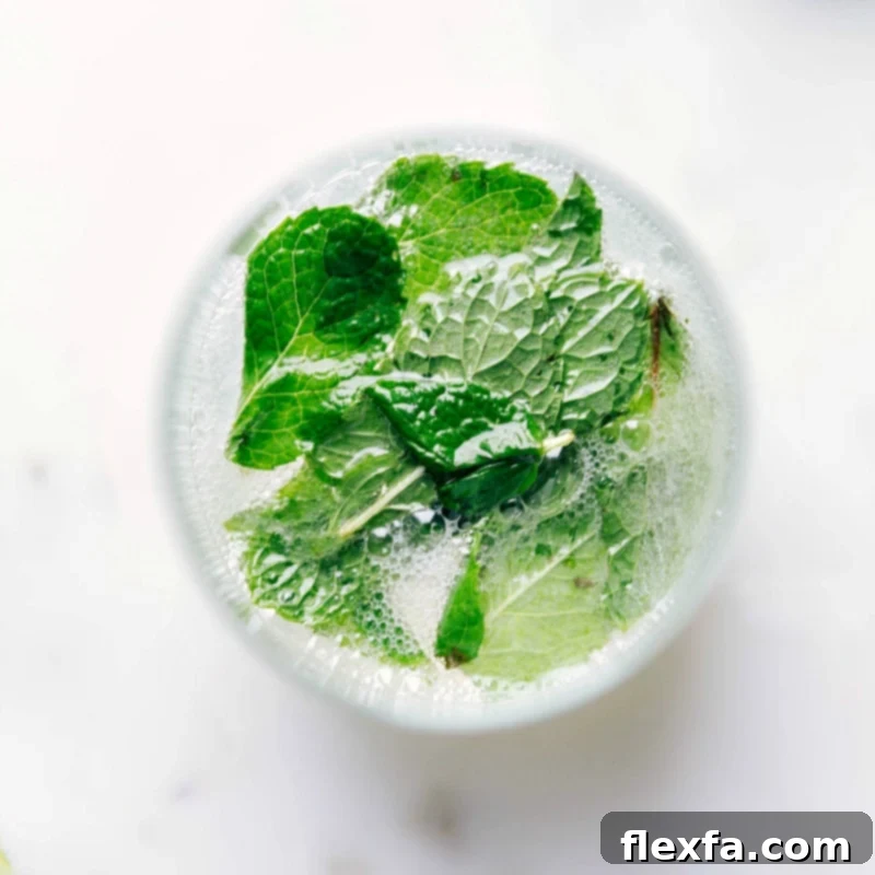 The finished virgin mojito mocktail, garnished with fresh mint and lime slices, served in a tall glass and ready to be enjoyed.