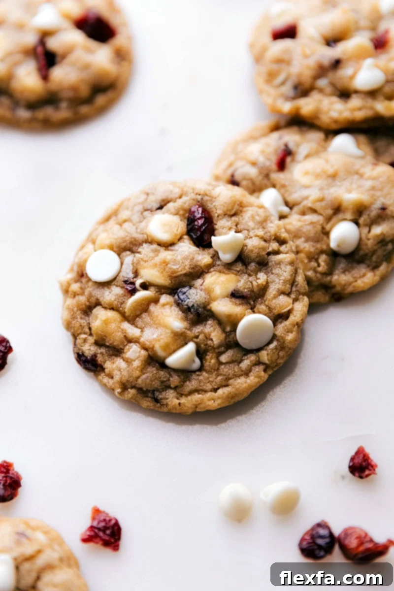 Freshly baked oatmeal cranberry cookies with white chocolate chips and dried cranberries, straight from the oven and ready to delight.