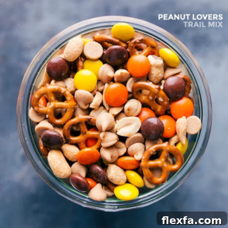 Finished snack, highlighting the delicious harmony of chocolate treats and nutty flavors in the peanut lover's trail mix.