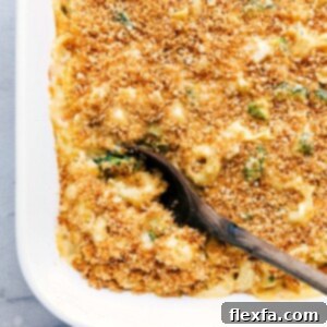 Chicken tortellini in a casserole dish, freshly baked with a golden crust on top.