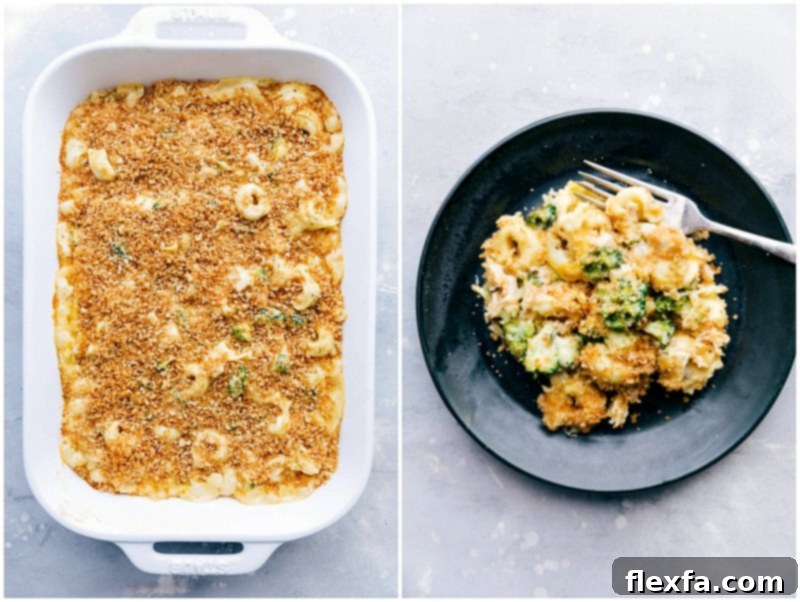 Finished casserole served on a plate, showcasing its hearty ingredients and ready to eat.