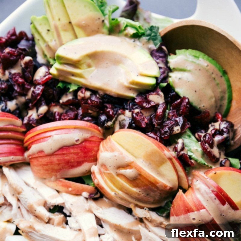 Creamy Balsamic Dressing Enhancing Salad Ingredients Creamy balsamic dressing beautifully coating a salad ensemble featuring avocado, fuji apple, sliced chicken, dried cranberries, and fresh lettuce.