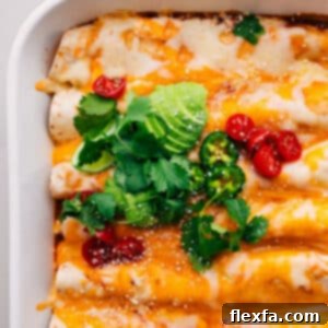 Beautifully plated Vegetarian Enchiladas, garnished with fresh cilantro and a dollop of sour cream, showcasing the rich, cheesy filling and golden-brown top.