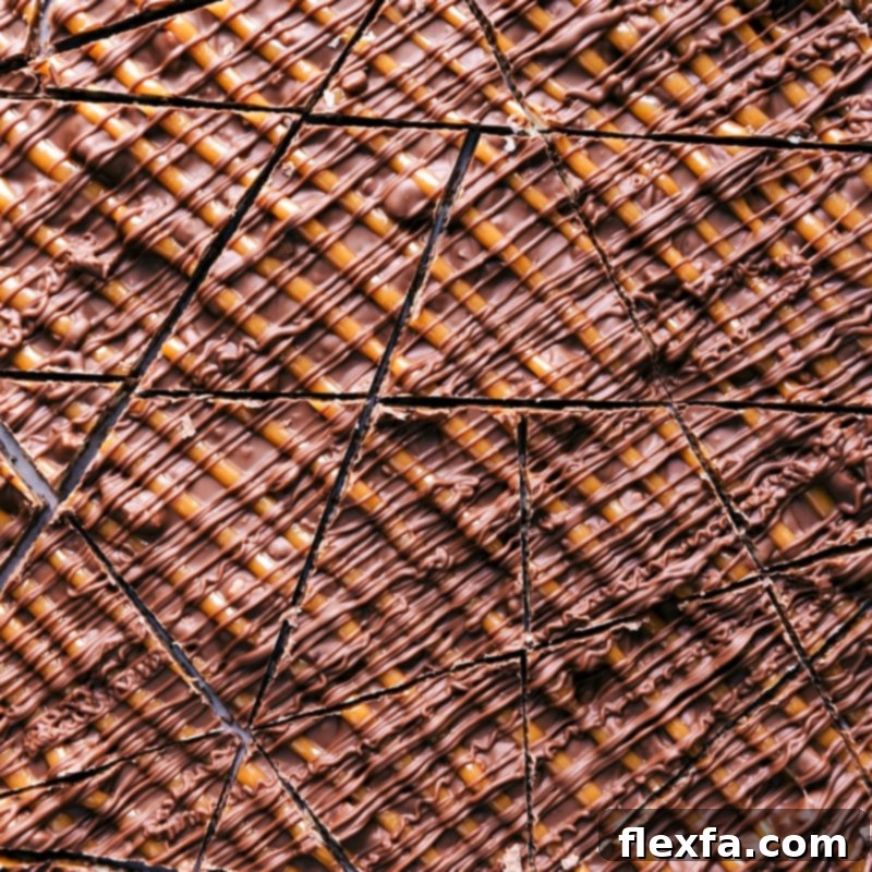 Close-up view of the Turtle Bark, expertly cut into uniform pieces.