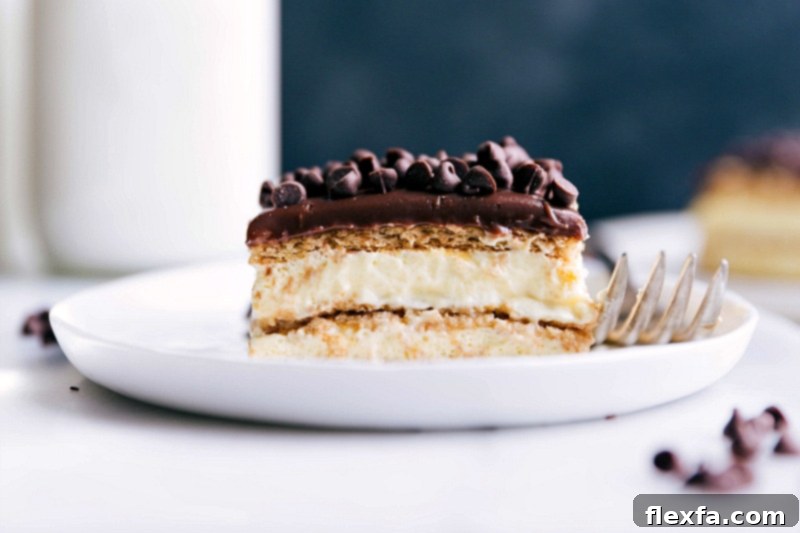 A stunning and delicious slice of no-bake chocolate eclair cake, perfectly chilled and ready to be enjoyed, showcasing its rich layers.