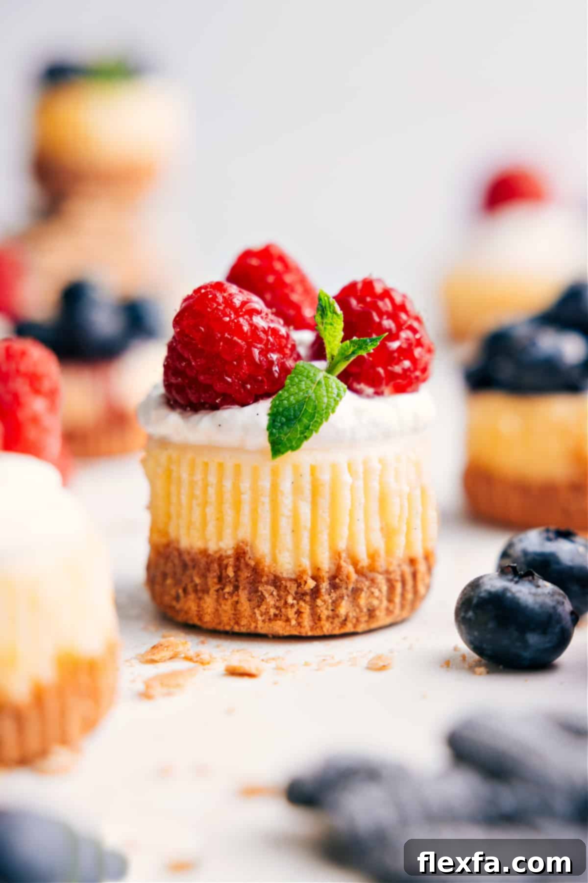 Mini Cheesecake Recipe topped with fresh whipped cream, vibrant raspberries, and a sprig of fresh mint, set against a light background.
