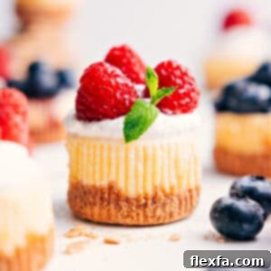Delicious Mini Cheesecake Recipe topped with whipped cream and berries
