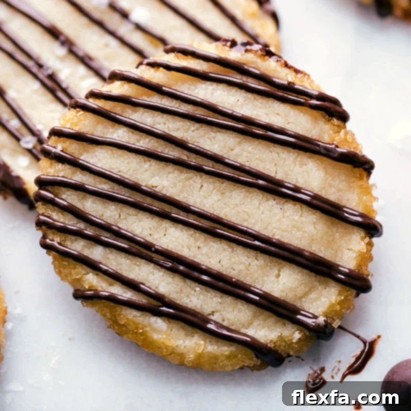 Close-up of perfectly baked shortbread cookies artfully drizzled with rich chocolate, ready for serving.
