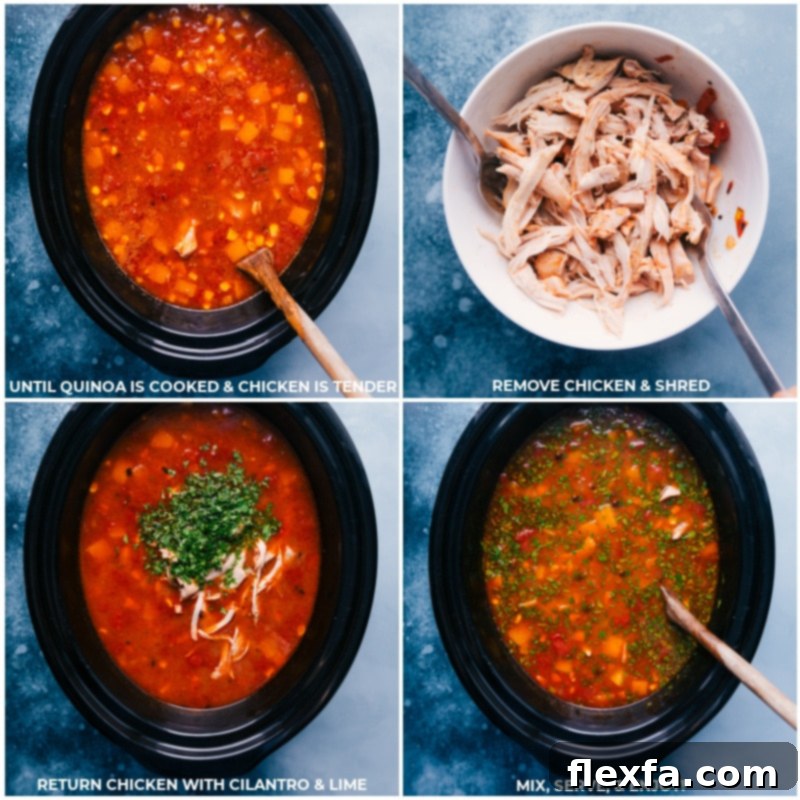 Process shots demonstrating the cooked chicken being removed from the slow cooker, shredded expertly with two forks, and then returned to the crockpot along with fresh cilantro and vibrant lime wedges for a final flourish.