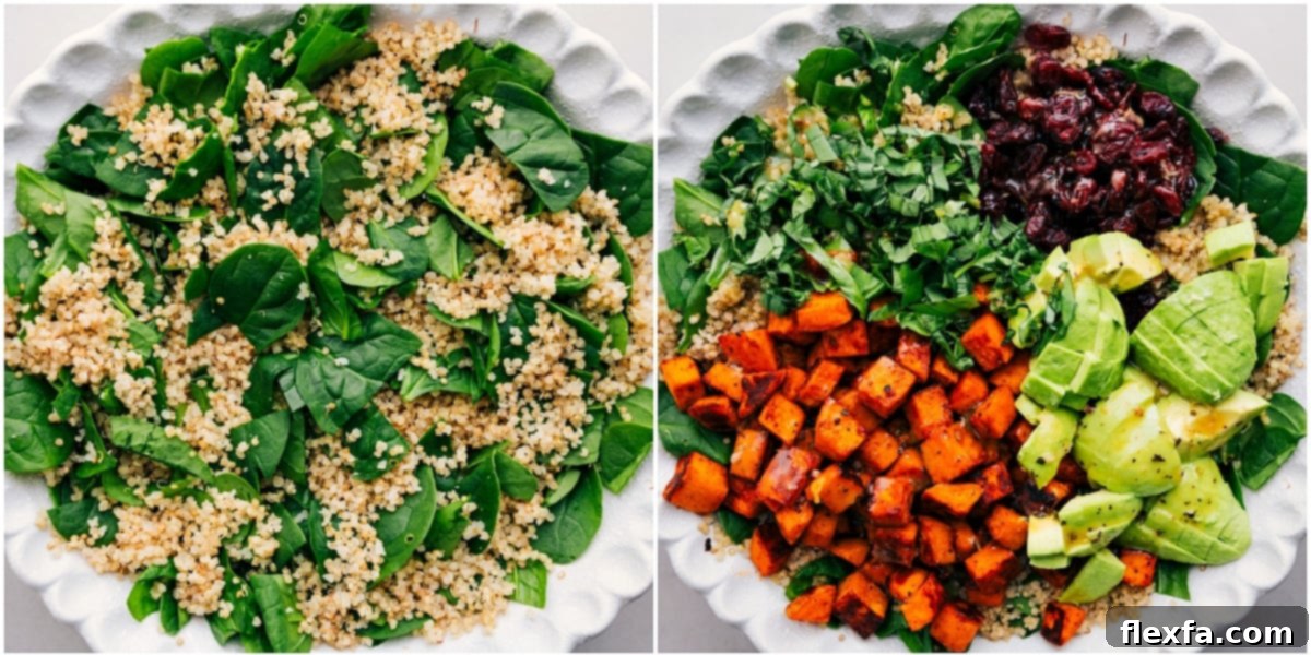 Fresh greens and fluffy quinoa mixed together, then beautifully topped with roasted sweet potatoes, aromatic basil, creamy avocado, sweet cranberries, and finally drizzled with the zesty dressing, illustrating 'How To Make Sweet Potato Quinoa Salad'.