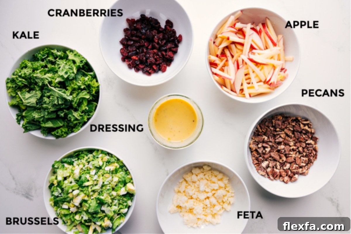 All the prepped ingredients for the Brussel Sprout Salad Recipe, including kale, Brussels sprouts, cranberries, dressing, feta, pecans, and apples.