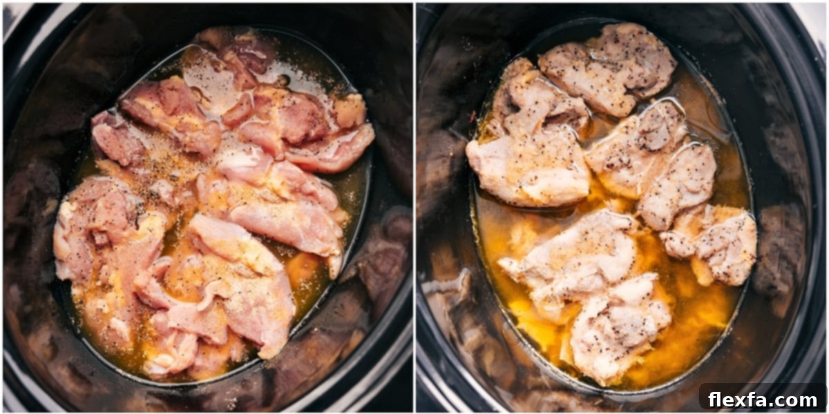 Chicken, seasonings, and broth in a slow cooker ready to cook
