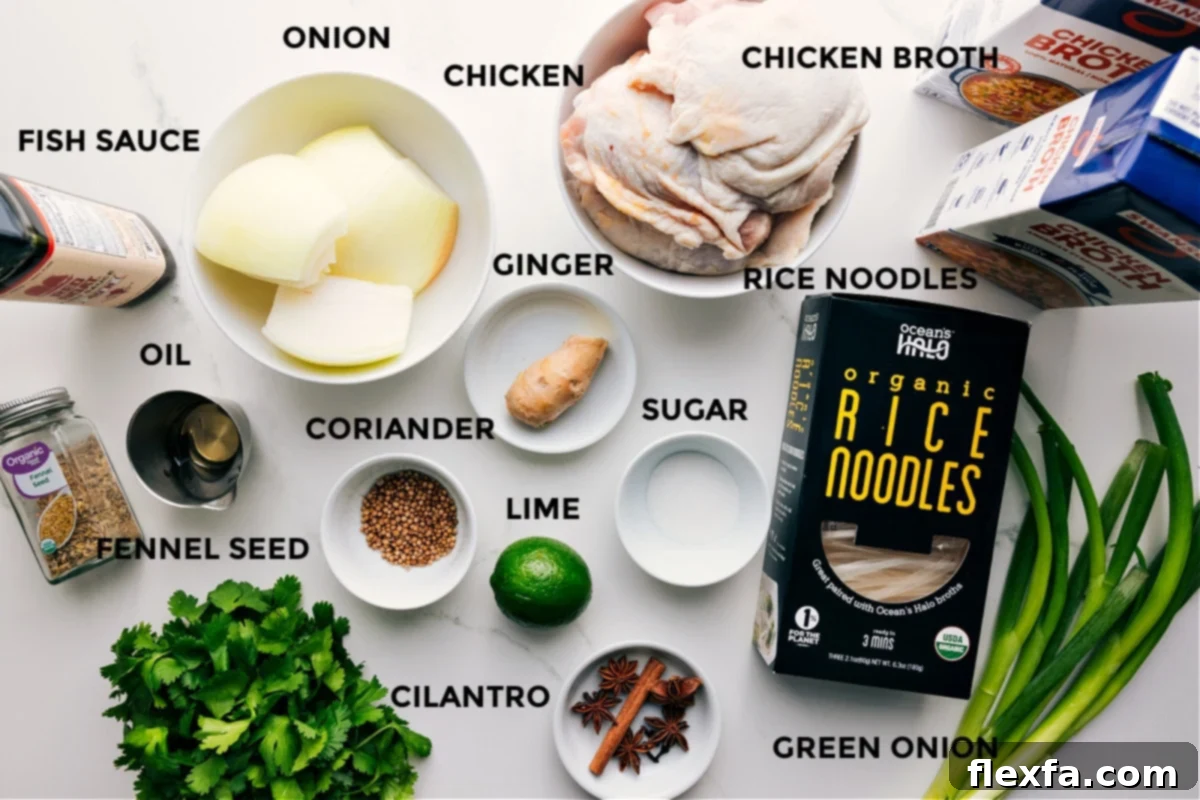 All the ingredients in this recipe prepped out for easy assembly including the fish sauce, oil, fennel seed, cilantro, onion, coriander, chicken, ginger, lime, sugar, rice noodles, green onion, and chicken broth.