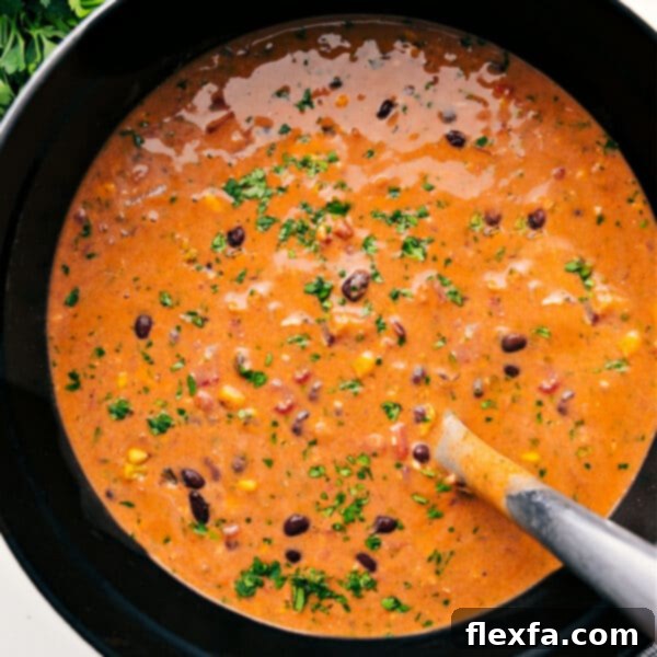 Chicken Tortilla Soup Recipe