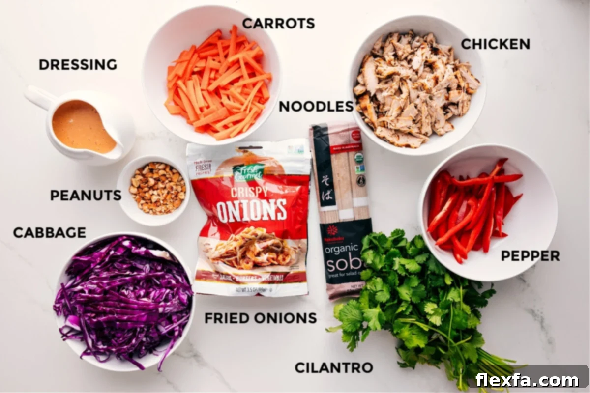 Ingredients for Soba Noodle Salad Recipe: All the components are neatly arranged – dressing, peanuts, cabbage, fried onions, carrots, noodles, chicken, pepper, and cilantro.