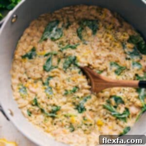 Lemon Chicken Orzo Recipe Image