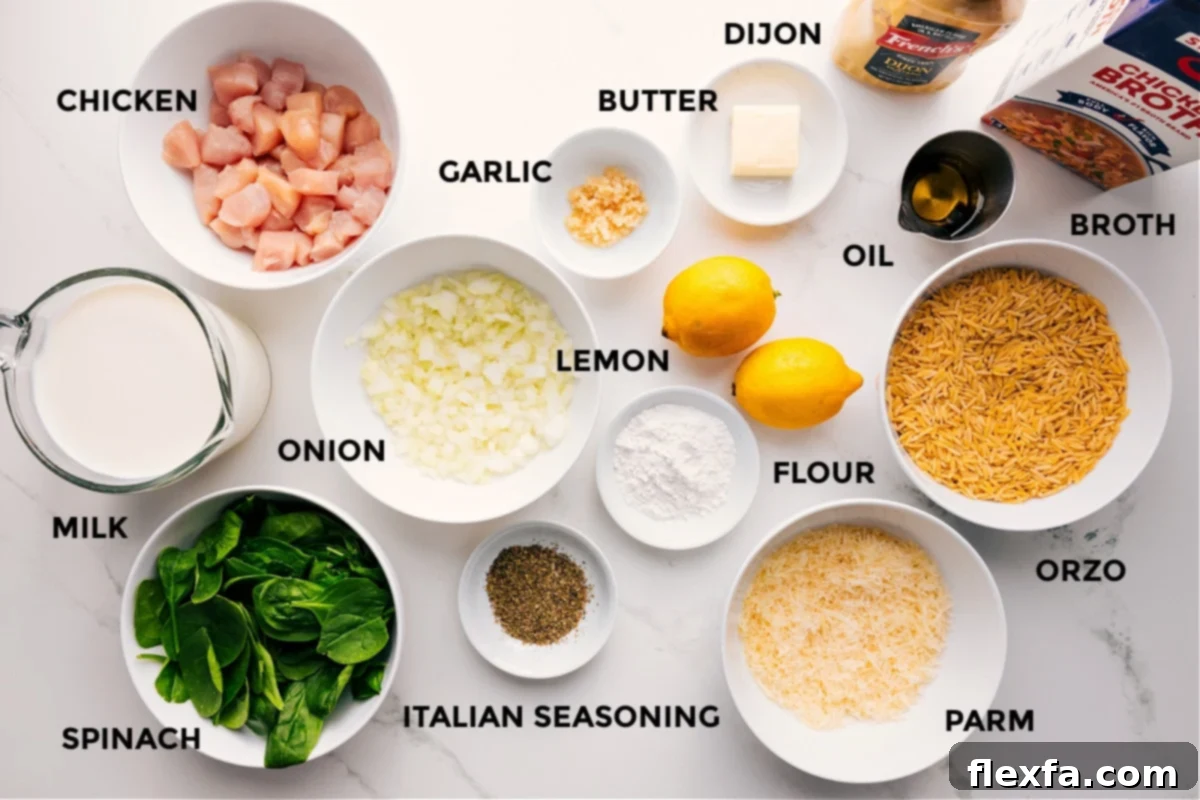Ingredients for Lemon Chicken Orzo Recipe