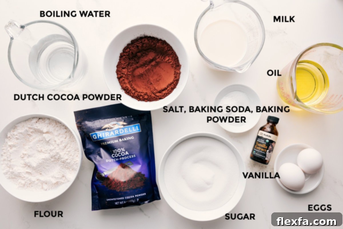 Ingredients for the chocolate cake recipe, including flour, cocoa powder, sugar, eggs, and milk.