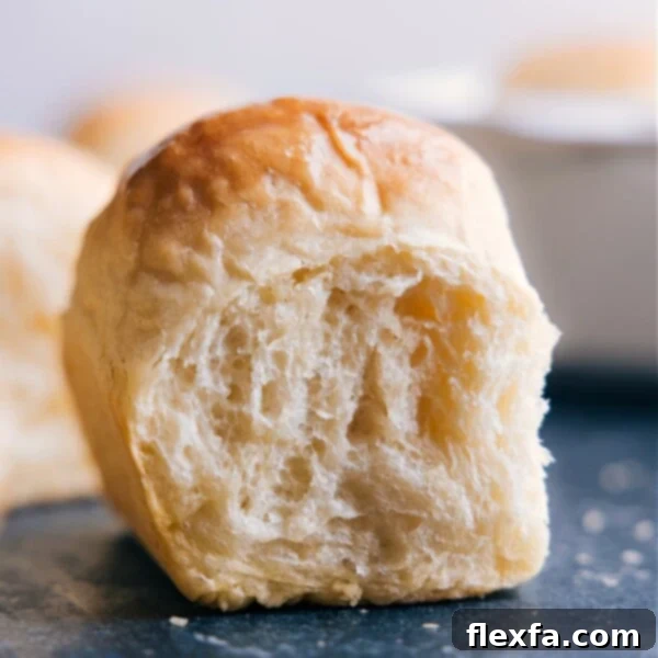 Dinner Rolls