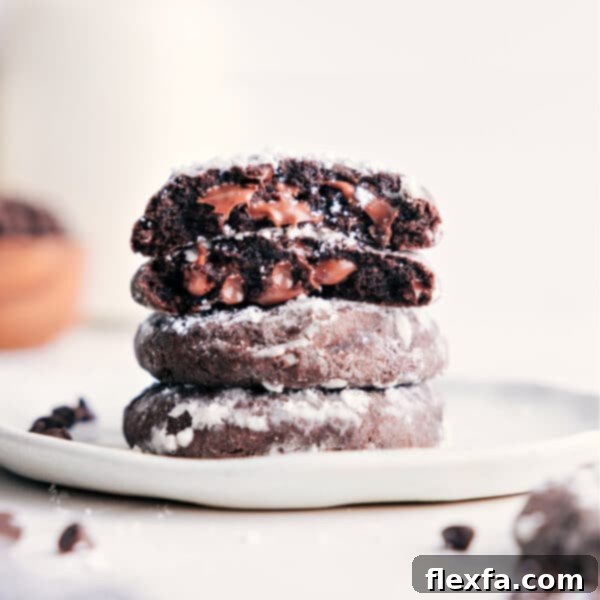 Chocolate Crinkle Cookies