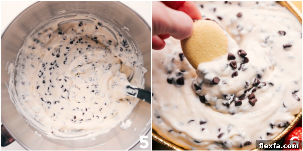 Chocolate Chip Dip with Cookie