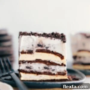 A delicious slice of Ice Cream Sandwich Cake, ready to be enjoyed.