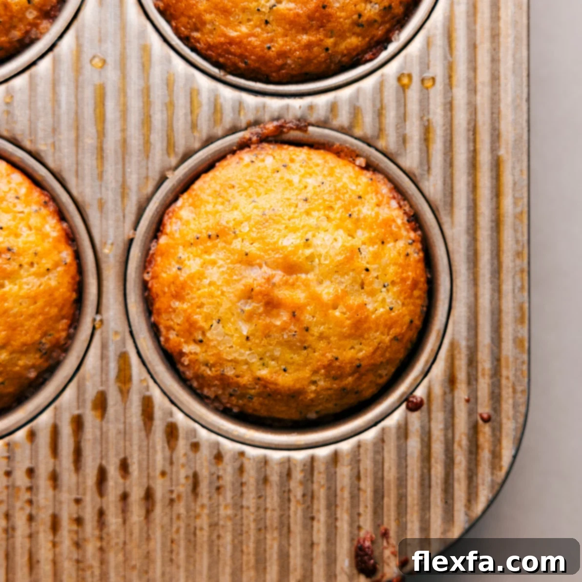 A tray of golden-brown lemon poppy seed muffins, fresh from the oven and glistening with their baked tops.