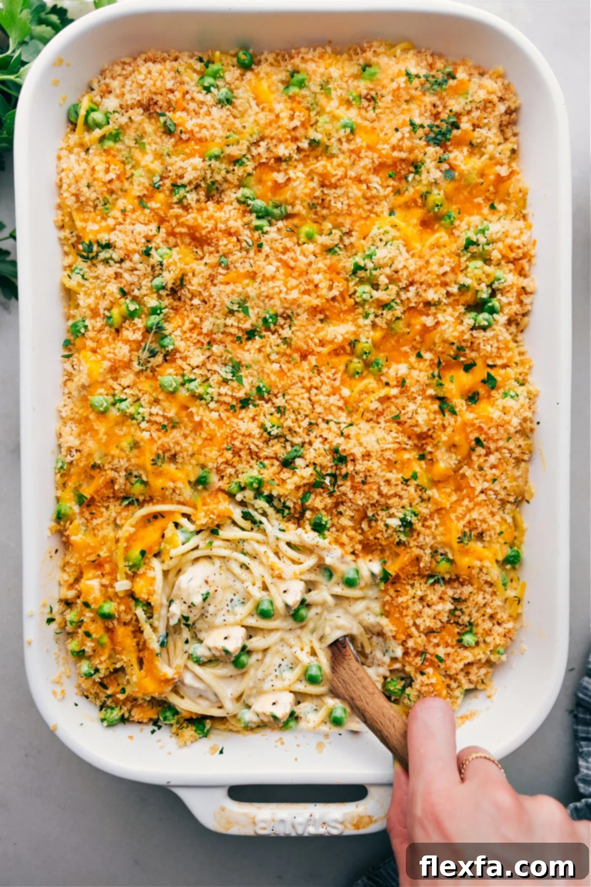 A comforting Chicken Tetrazzini casserole, golden brown and bubbly, featuring spaghetti, chicken, and a creamy mushroom sauce.