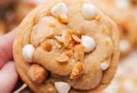 Macadamia Nut White Chocolate Cookie Recipe for Chewy, Crunchy Bites