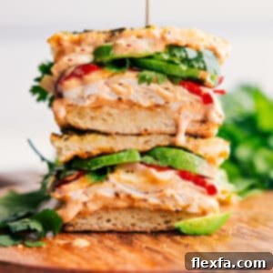 Copycat Panera Chipotle Chicken Avocado Melt
