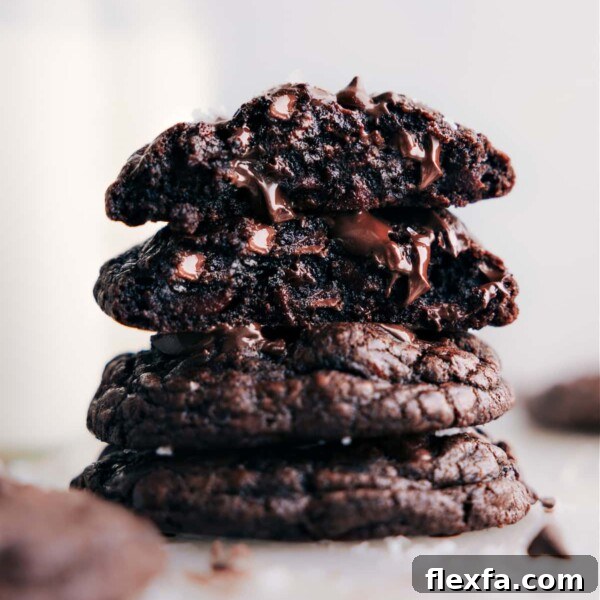 Stack of chocolate cookies ready to be enjoyed.