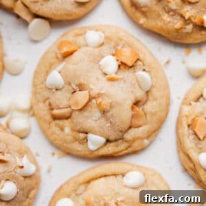Macadamia Nut White Chocolate Cookie Recipe for Chewy, Crunchy Bites 7 img 255404 11