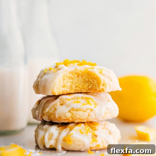 Macadamia Nut White Chocolate Cookie Recipe for Chewy, Crunchy Bites 4 img 255404 8