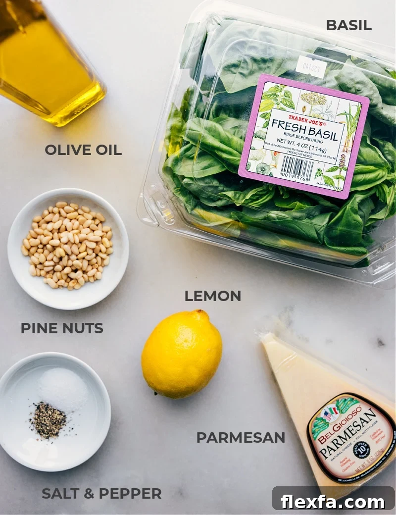 Ingredient shot-- image of all the ingredients used in this Pesto Recipe