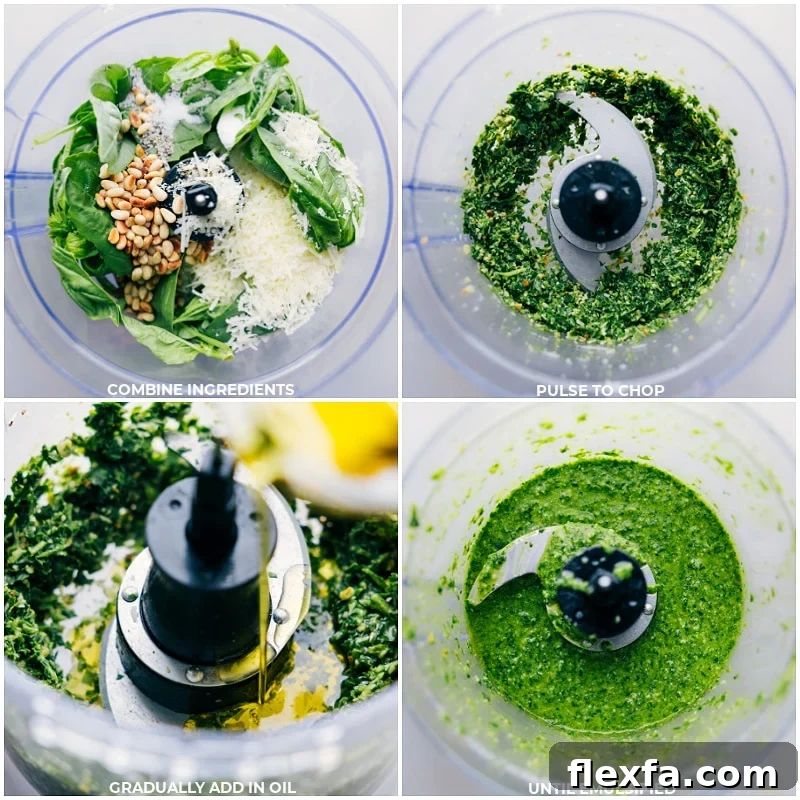 Process shots of Pesto Recipe-- images of all the ingredients being combined in a food processor and it all being pulsed together
