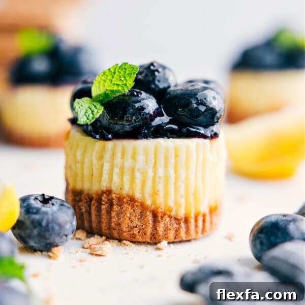 Mini blueberry cheesecakes