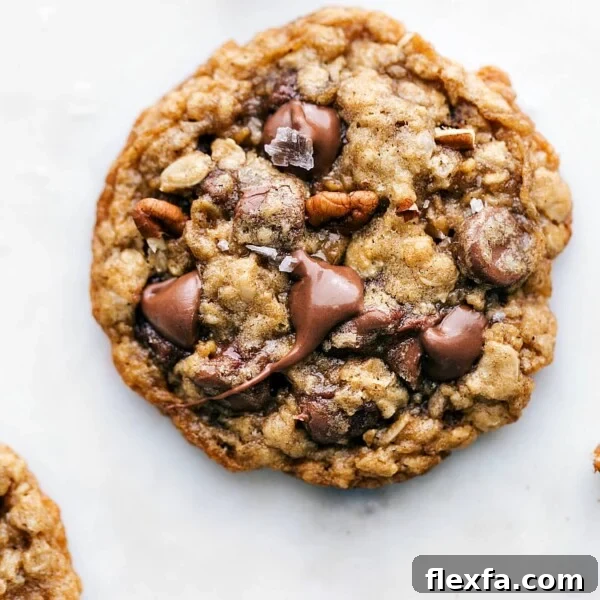Freshly baked oatmeal pecan cookie with melted chocolate chips on top