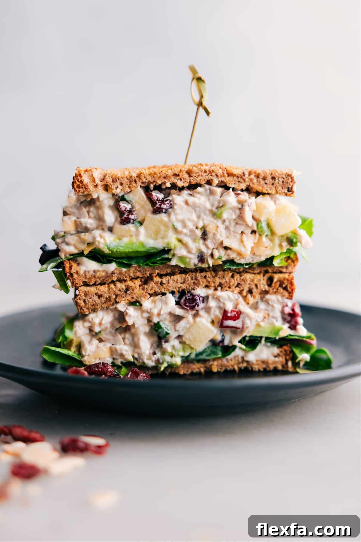 Chicken salad with creamy chicken salad and crisp apple pieces.