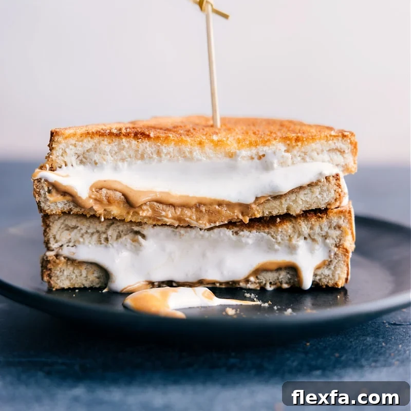 Air fryer sandwich recipes featuring crispy grilled PB&J sandwich variations.