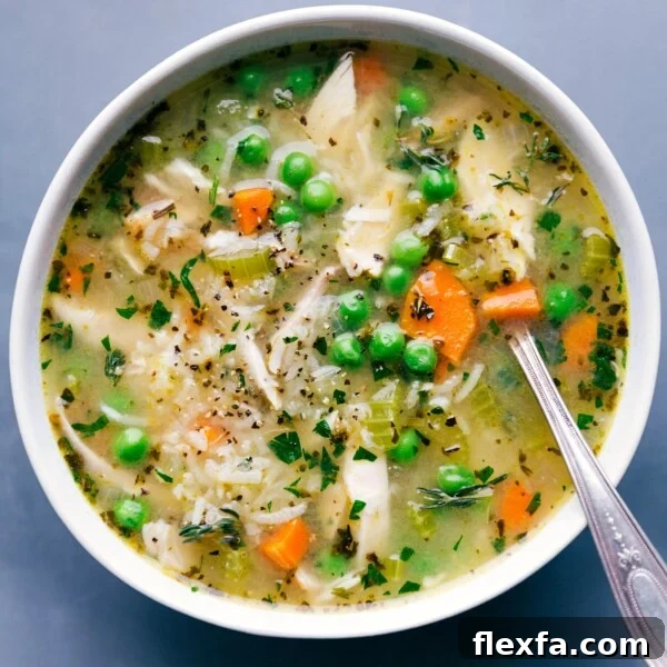 Million-Dollar Soup Recipe: Rich, Creamy Homemade Comfort 10 Bowl of the finished recipe, topped with fresh herbs, warm and inviting for enjoyment.