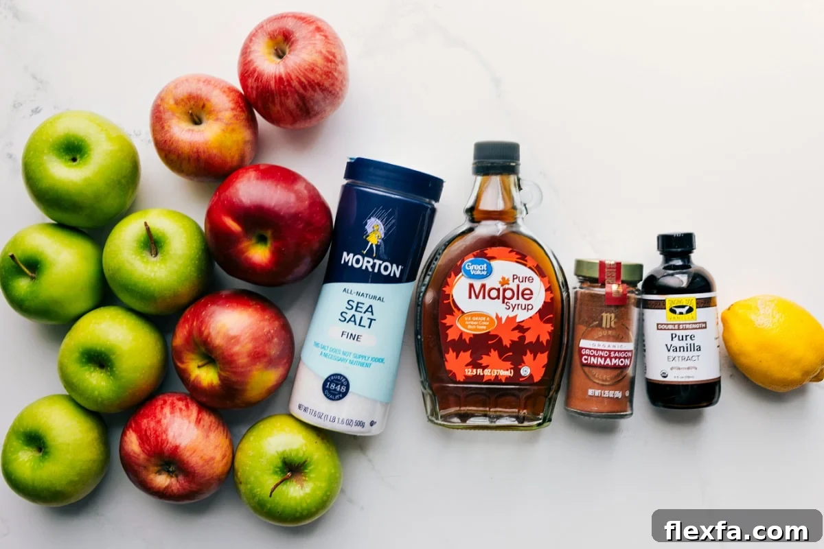All the ingredients in this recipe prepped out for easy assembly including the apples, salt, maple syrup, cinnamon, vanilla, and lemon.