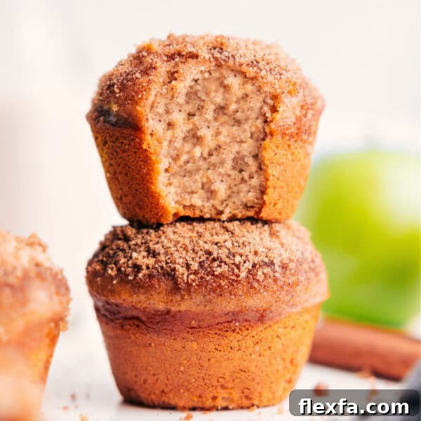 Applesauce Muffins image