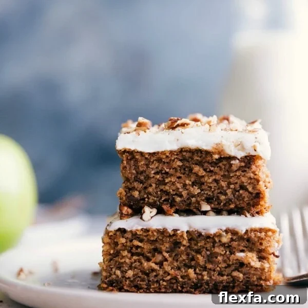 Two slices of delectable applesauce cake stacked and ready to be savored.