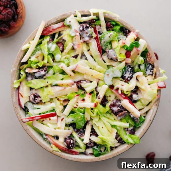Apple coleslaw image.